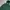 Adidas Sportswear Hoody Pria green photo 2
