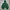 Adidas Sportswear Hoody Pria green photo 1