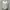 Streetwear Skater Sweater Pria white photo 1