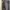 Kodak Casual Short Pria green gray photo 5