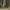 Kodak Casual Short Pria green gray photo 6