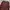 Uniqlo Vintage Casual Windbreaker Pria burgundy red photo 4