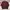 Uniqlo Vintage Casual Windbreaker Pria burgundy red photo 2
