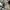 Levi's Casual Polo shirt Pria tan photo 4