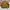 WHO.A.U Streetwear Casual Windbreaker Pria brown cream photo 1