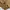 WHO.A.U Streetwear Casual Windbreaker Pria brown cream photo 4