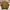 WHO.A.U Streetwear Casual Windbreaker Pria brown cream photo 2