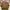 WHO.A.U Streetwear Casual Windbreaker Pria Brown Cream