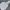 National Geographic Vintage Casual Sweater Pria white gray photo 3
