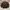 Streetwear Casual Windbreaker Pria brown photo 1