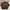 Streetwear Casual Windbreaker Pria brown photo 2