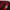 Adidas Vintage Jersey Pria red black photo 1