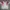 Adidas Y2K Jersey Pria white photo 1