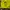 Sportswear Jersey Pria yellow photo 3