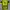 Sportswear Jersey Pria yellow photo 5