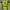 Sportswear Jersey Pria yellow photo 6