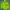 Adidas Sportswear Windbreaker Pria green photo 1