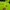 Adidas Sportswear Windbreaker Pria green photo 8