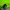 Adidas Sportswear Windbreaker Pria green photo 2