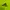 Adidas Sportswear Windbreaker Pria green photo 5