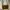 Luxury Handbag Wanita Green