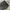 Adidas Gorpcore Sportswear Sweatpants & Joggers Pria black yellow photo 3