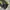 Adidas Gorpcore Sportswear Sweatpants & Joggers Pria black yellow photo 6