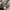 GU Streetwear Casual Puffer jacket Pria multicolor photo 4