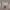 Patagonia Streetwear Y2K Casual shirt Pria tan brown photo 4