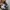 VANS Skater Sneakers Pria white cream photo 3