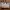 Minimalist Tote bag Wanita brown cream photo 1