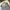 Uniqlo Streetwear Casual Windbreaker Pria gray photo 7