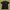 Planet Hollywood Minimalist Casual Polo shirt Pria gold black photo 1