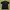 Planet Hollywood Minimalist Casual Polo Shirt Pria Gold Black