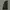 Biker Casual Bomber Jacket Pria Green