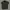 Biker Casual Bomber jacket Pria green photo 1