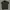 Biker Casual Bomber Jacket Pria Green
