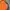 The North Face Gorpcore Track jacket Pria orange photo 4
