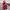 The North Face Gorpcore Track Jacket Pria Red