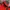The North Face Gorpcore Track jacket Pria red photo 2