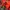 The North Face Gorpcore Track jacket Pria red photo 5