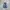Adidas Casual Sneakers Pria blue photo 3