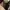 Carhartt Vintage Streetwear Pria tan photo 5