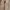 Carhartt Vintage Streetwear Pria tan photo 3