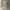 Carhartt Vintage Streetwear Pria tan photo 1