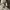 Carhartt Vintage Streetwear Pria tan photo 4