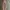 Carhartt Vintage Streetwear Pria tan photo 7