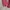 Nicole Club for Men Casual Harrington jacket Pria burgundy photo 7