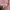 Acne Studios Minimalist Casual Hoody Wanita pink photo 3