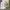 Minimalist Casual Flat Wanita tan photo 1